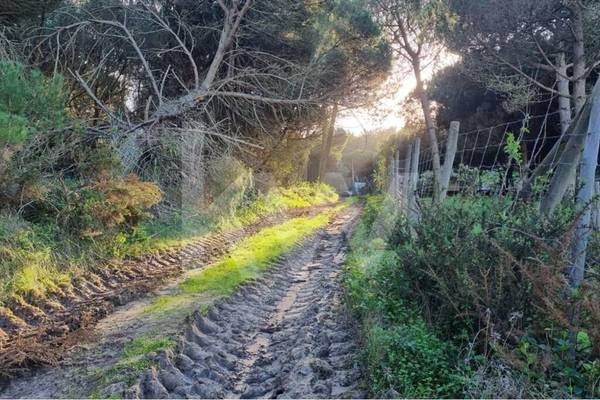 Land Plot for Sale in Sintra - Lisbon - Portugal