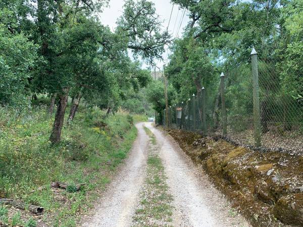 Terreno à Venda em Belas - Lisboa - Portugal