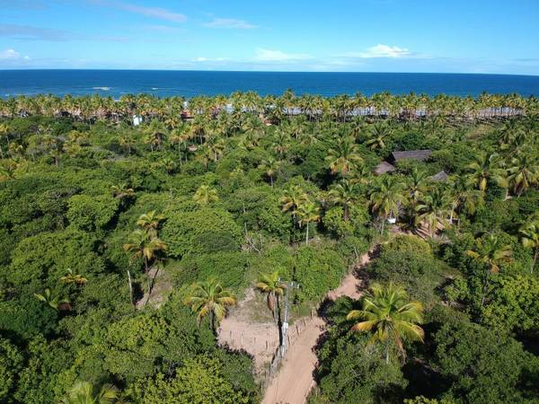 Terreno à Venda em Maraú - Bahia - Brasil