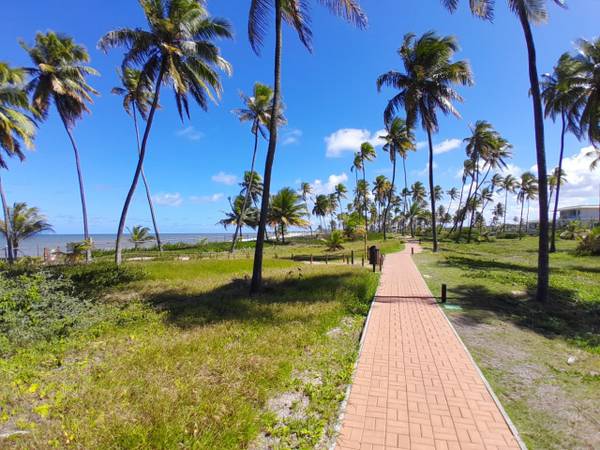 Terreno à Venda em Praia do Forte - Bahia - Brasil