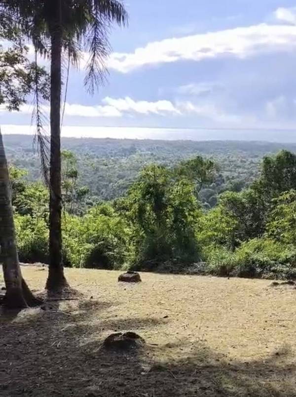 Terreno à Venda em Uruçuca - Bahia - Brasil