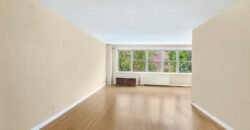 251 East 32nd Street, Unit 4G, Manhattan, NY