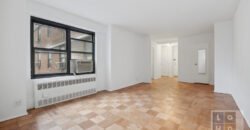 385 Grand Street, Unit L502, Lower East Side, Manhattan, NY 10002