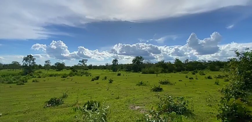 Farm for Sale in Brazil in Flores de Goias in State of Goias