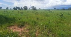 Farm for Sale in Brazil in Coxim in State of Mato Grosso do Sul