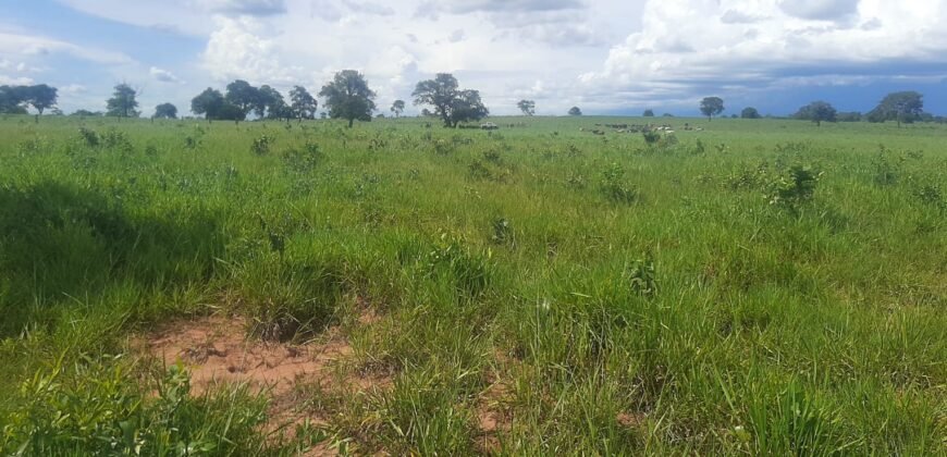 Farm for Sale in Brazil in Coxim in State of Mato Grosso do Sul