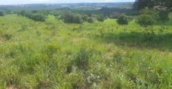 Farm for Sale in Brazil in Coxim in State of Mato Grosso do Sul