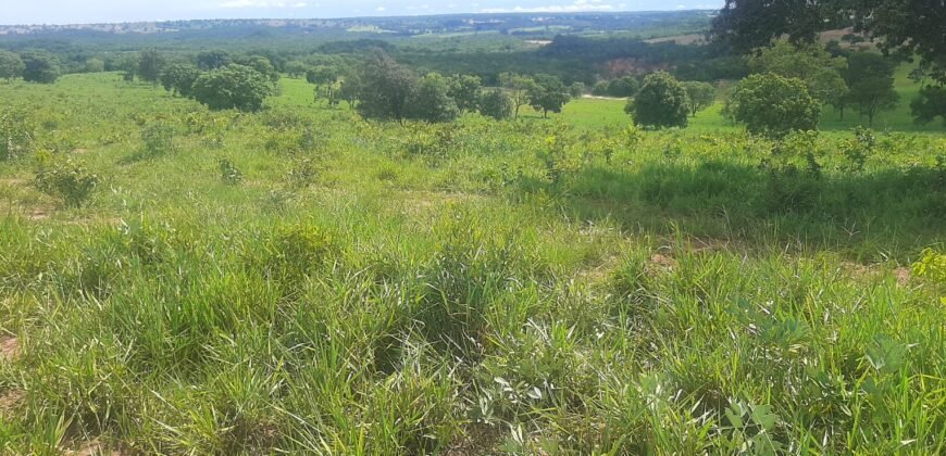 Farm for Sale in Brazil in Coxim in State of Mato Grosso do Sul