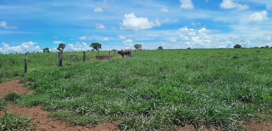 Farm for Sale in Brazil in Coxim in State of Mato Grosso do Sul