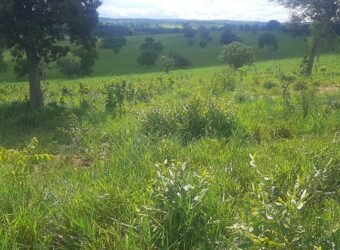 Farm for sale in Brazil