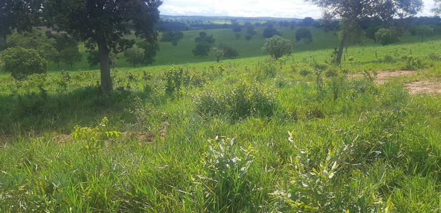 Farm for Sale in Brazil in Coxim in State of Mato Grosso do Sul