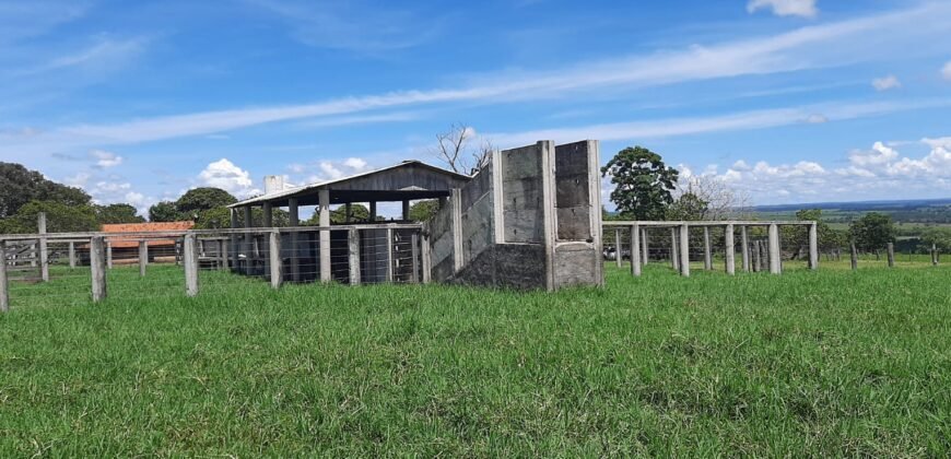 Farm for Sale in Brazil in Coxim in State of Mato Grosso do Sul