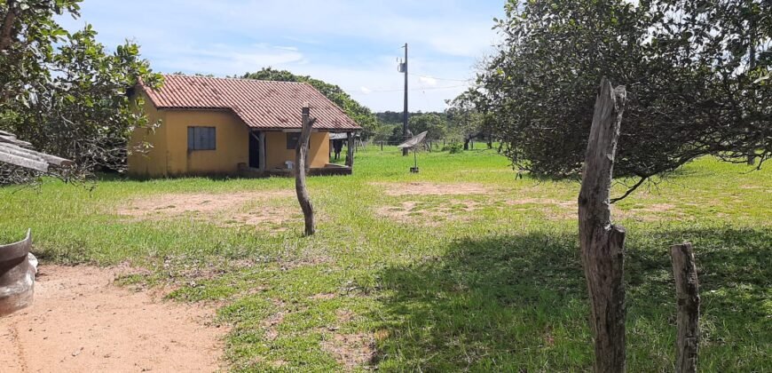 Farm for Sale in Brazil in Coxim in State of Mato Grosso do Sul