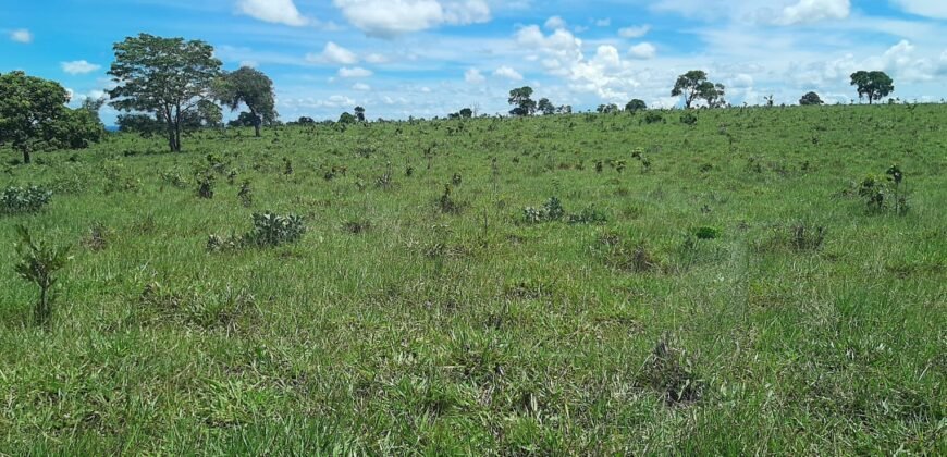 Farm for sale in Brazil