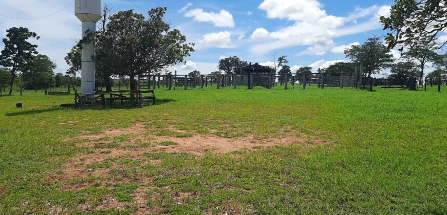 Farm for sale in Brazil