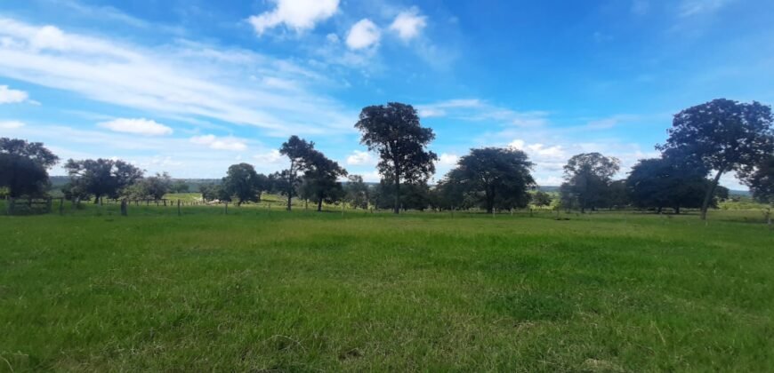 Farm for sale in Brazil