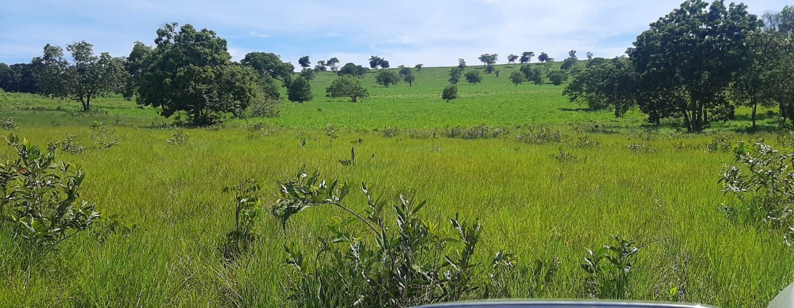 Farm for Sale in Brazil in Coxim in State of Mato Grosso do Sul