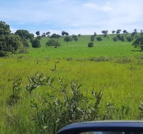 Farm for Sale in Brazil in Coxim in State of Mato Grosso do Sul