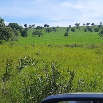 Farm for Sale in Brazil in Coxim in State of Mato Grosso do Sul