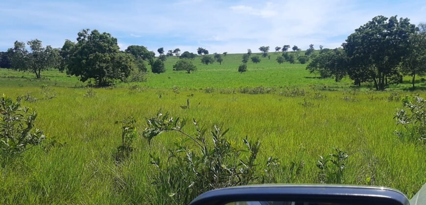 Farm for Sale in Brazil in Coxim in State of Mato Grosso do Sul