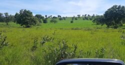 Farm for sale in Brazil