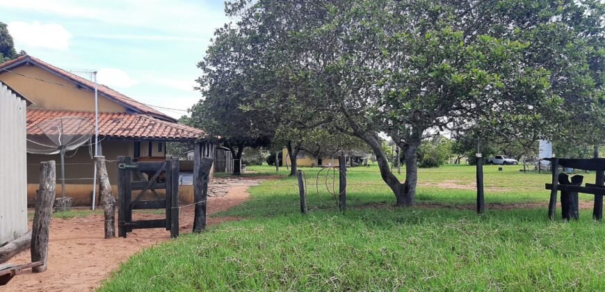 Farm for Sale in Brazil in Coxim in State of Mato Grosso do Sul