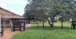 Farm for sale in Brazil