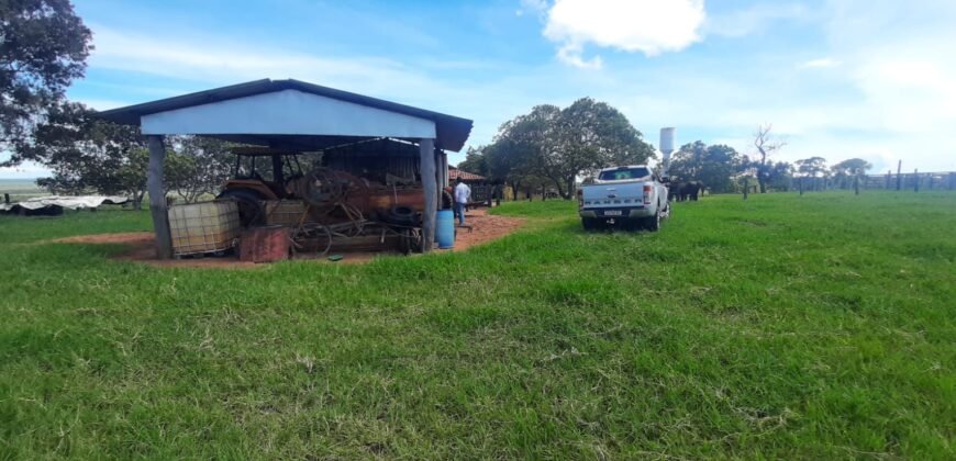 Farm for Sale in Brazil in Coxim in State of Mato Grosso do Sul