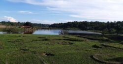 Farm for sale in Brazil in state of Amazonas