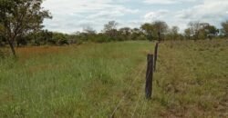 Farm for Sale in Brazil in Flores of Goias in State of Goias