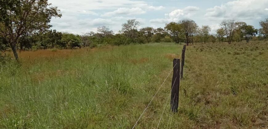 Farm for Sale in Brazil in Flores of Goias in State of Goias