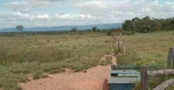 Farm for Sale in Brazil in Flores of Goias in State of Goias