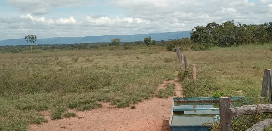 Farm for Sale in Brazil in Flores of Goias in State of Goias