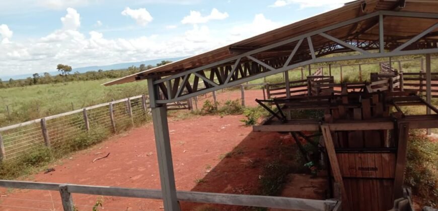 Farm for Sale in Brazil in Flores of Goias in State of Goias