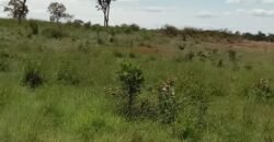 Farm for Sale in Brazil in Flores of Goias in State of Goias