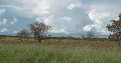 Farm for Sale in Brazil in Flores of Goias in State of Goias