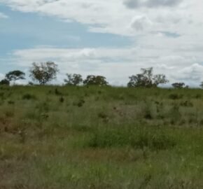 Farm for Sale in Brazil in Flores of Goias in State of Goias