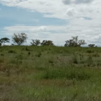 Farm for Sale in Brazil in Flores of Goias in State of Goias