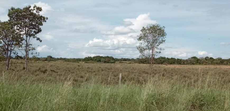 Farm for Sale in Brazil in Flores of Goias in State of Goias