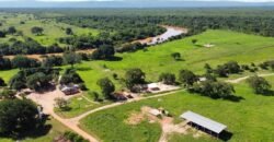 Farm for sale in Brazil in Iaciara State of Goias