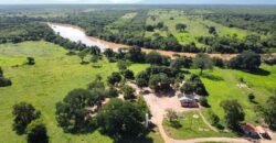 Farm for sale in Brazil in Iaciara State of Goias