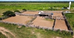 Farm for sale in Brazil in Iaciara State of Goias