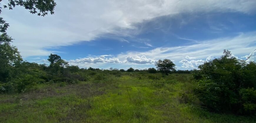 Farm for Sale in Brazil in Flores de Goias in State of Goias