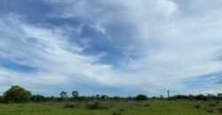 Farm for Sale in Brazil in Flores de Goias in State of Goias