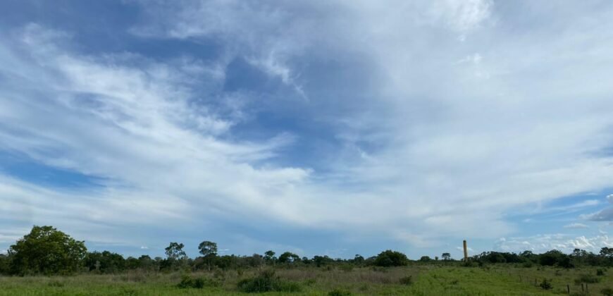 Farm for Sale in Brazil in Flores de Goias in State of Goias