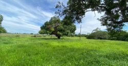 Farm for Sale in Brazil in Flores de Goias in State of Goias