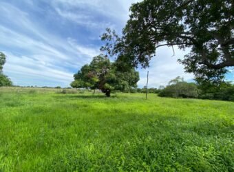 Farm for Sale in Brazil in Flores de Goias in State of Goias