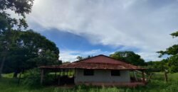 Farm for Sale in Brazil in Flores de Goias in State of Goias