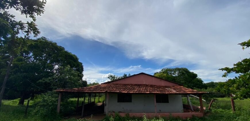 Farm for Sale in Brazil in Flores de Goias in State of Goias