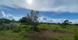 Farm for Sale in Brazil in Flores de Goias in State of Goias